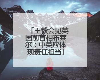 王毅会见英国前首相布莱尔：中英应体现责任担当